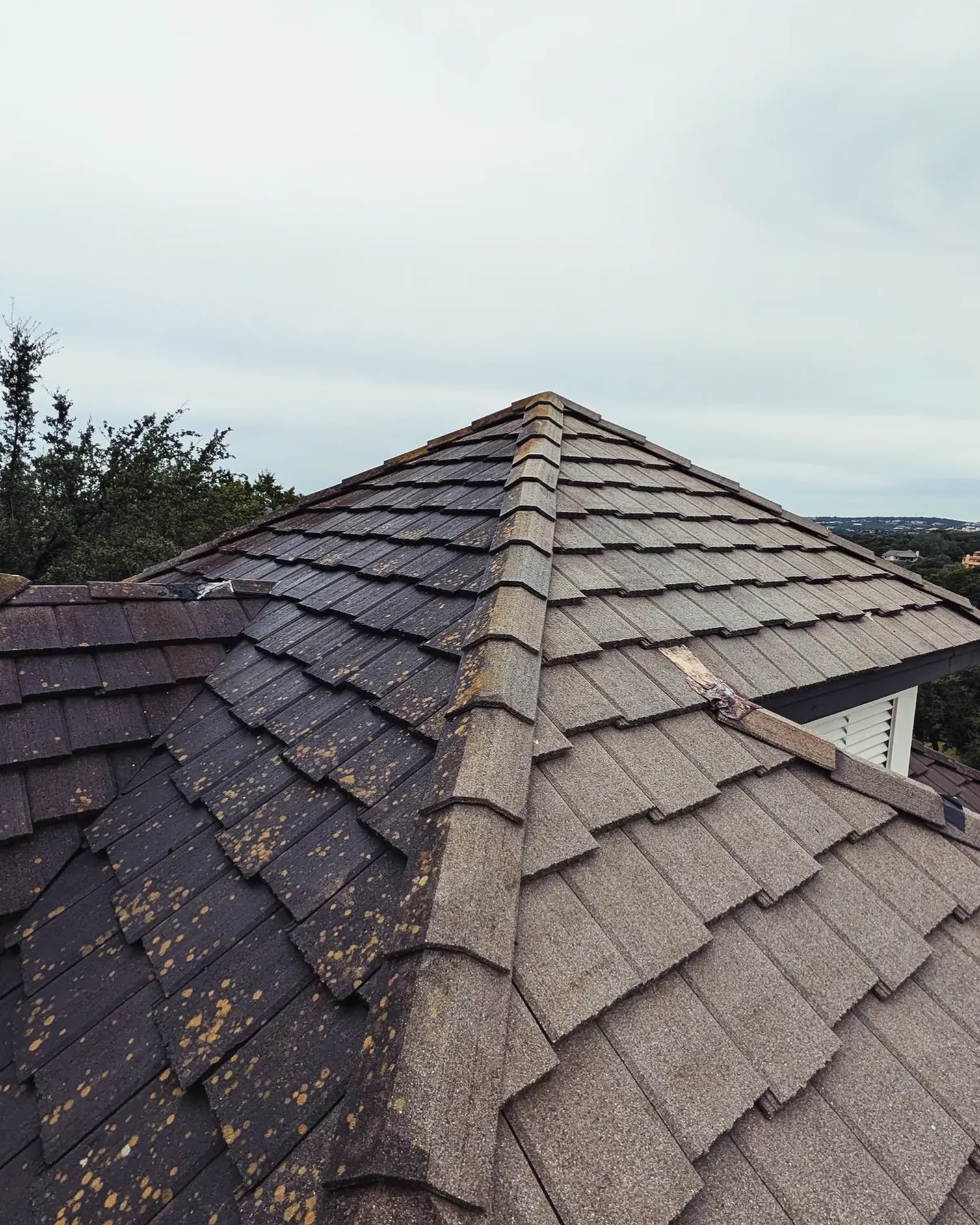 YOUR ROOF COULD LOOK BRAND NEW WITHOUT THE COST OF A REPLACEMENT.

Casa Washa’s professional, eco-conscious soft-washing process helps restore your roof’s appearance without the aggressive pressure of traditional power washing.

Whether you’re protecting your investment, preparing to sell, or simply maintaining your home’s curb appeal, let us take care of the details.

🍃 Professional soft washing
🏡 Residential roof cleaning
✨ Premium exterior care

Serving Austin’s finest neighborhoods:

Westlake Hills, Rollingwood, Tarrytown, Pemberton Heights, Old Enfield, Rob Roy, Davenport Ranch, Barton Creek, Lost Creek, Spanish Oaks, Lake Austin, River Place, Steiner Ranch, Bee Cave, Lakeway, Rough Hollow, The Hills of Lakeway, Belvedere, Serene Hills, and Dripping Springs.

Realtors: A professionally cleaned roof can make a meaningful difference in your listing’s first impression.

📞 Call Casa Washa: (512) 846-3006

#austinluxuryhomes #AustinRealEstate #WestlakeHills #BartonCreek #lifestyleblogger