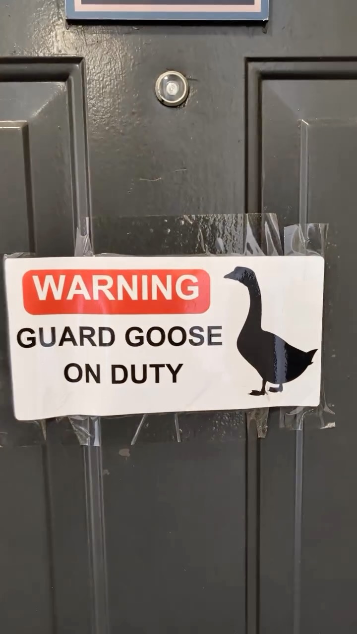 We became friends 🪿 

#goodvibes #fyp #duckduckgoose #work #propertymanagement
