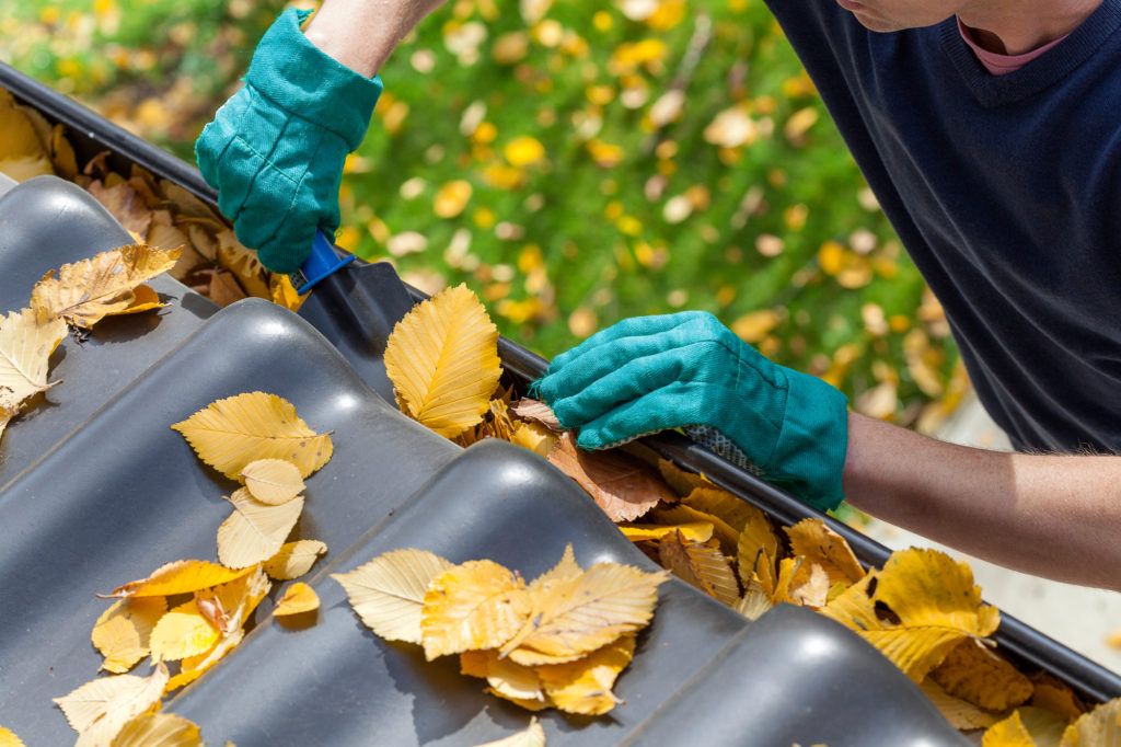 Gutter Cleaning Service 2 1